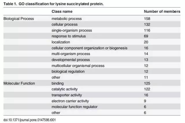 2024年新澳资料免费公开,精细化实施分析_HKL50.826Allergo版(意为轻快)