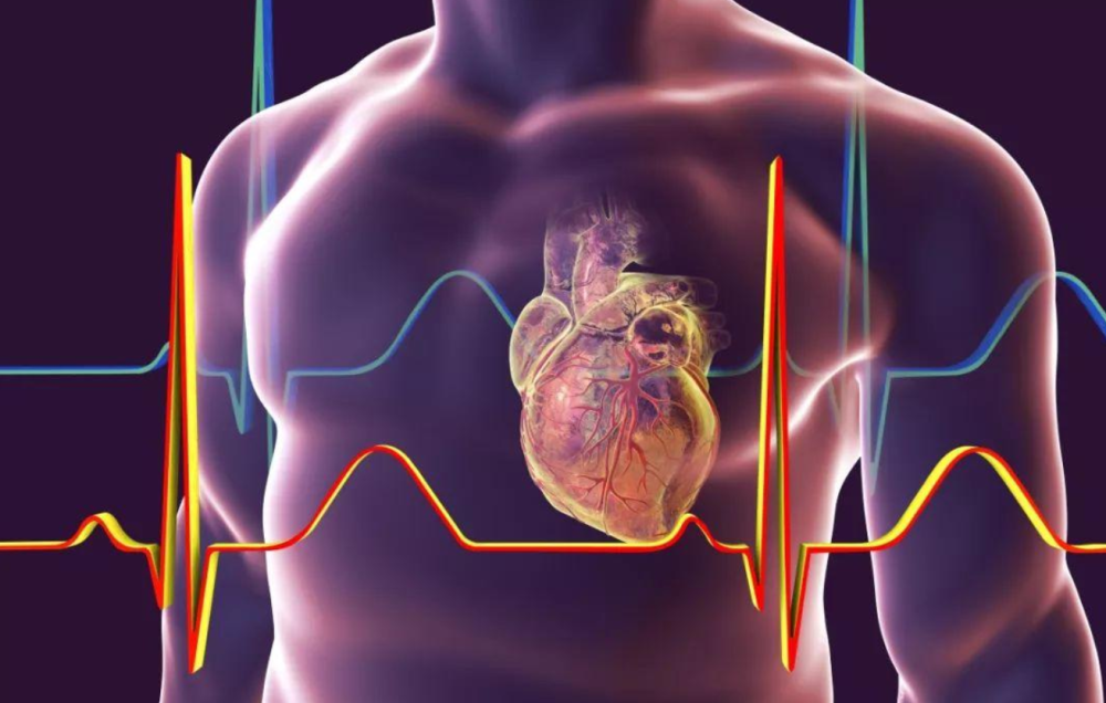 洗车服务 第590页