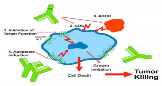 科技之光下的肿瘤最新疗法，重塑生命奇迹的奇迹之路