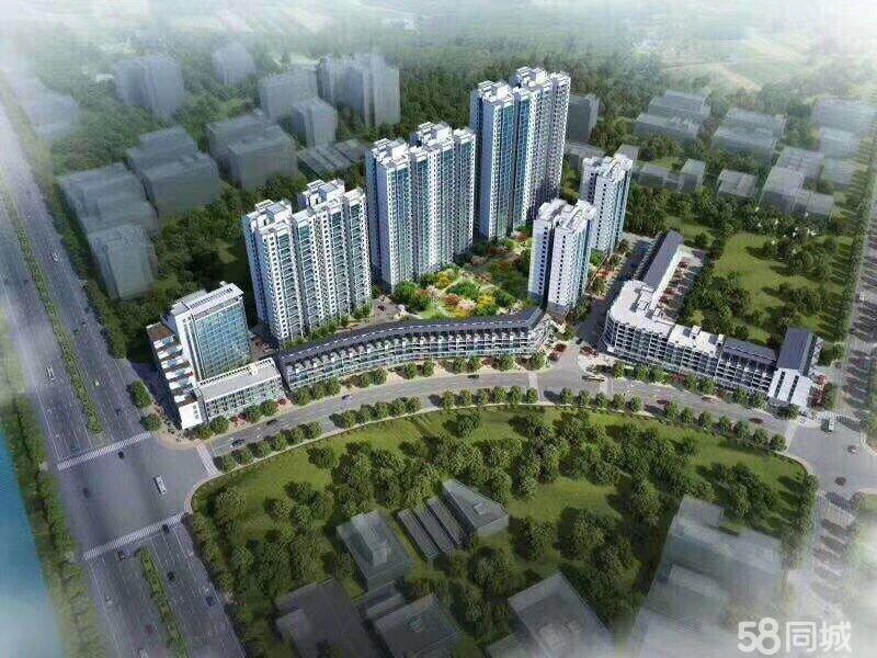 昭平最新房价探索与巷弄深处的特色小店惊喜发现