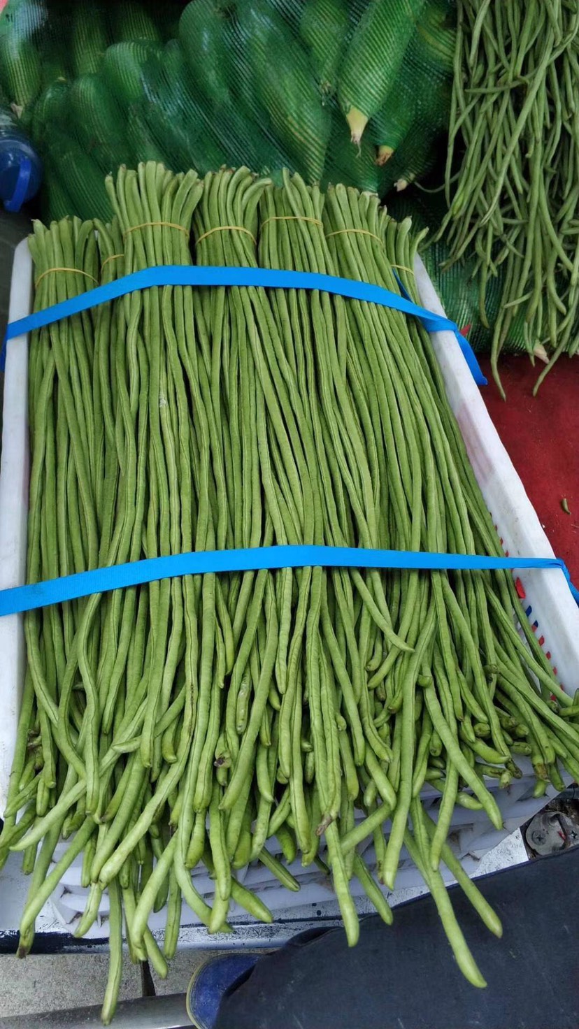 今日豇豆价格更新,农产品市场中的地位与影响回顾