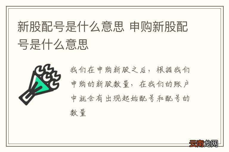 最新新股配号详解，入门、解析及策略指南