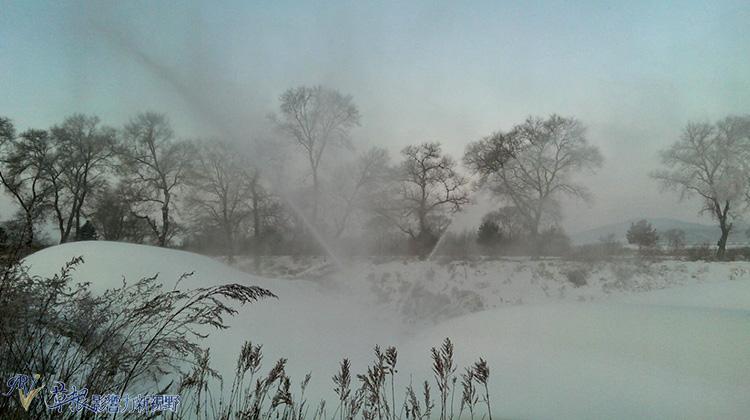 海西最新司机招聘,路上的奇遇与家庭的温暖之旅