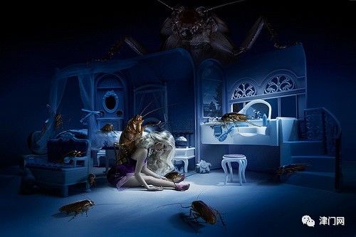 小强最新作品,温馨日常趣事