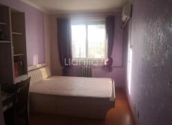 平乡最新租房信息及小巷深处的独特风情与隐藏的特色小店探索