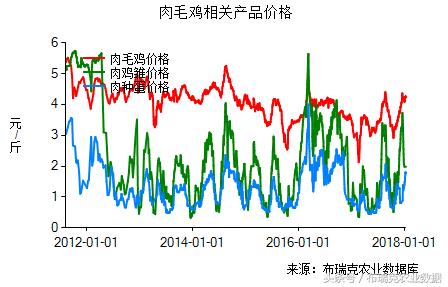 最新肉鸡价格预测与探寻内心平和宁静的自然之旅