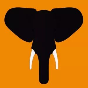 科技重塑生活,2016象牙最新价格与品质之选体验