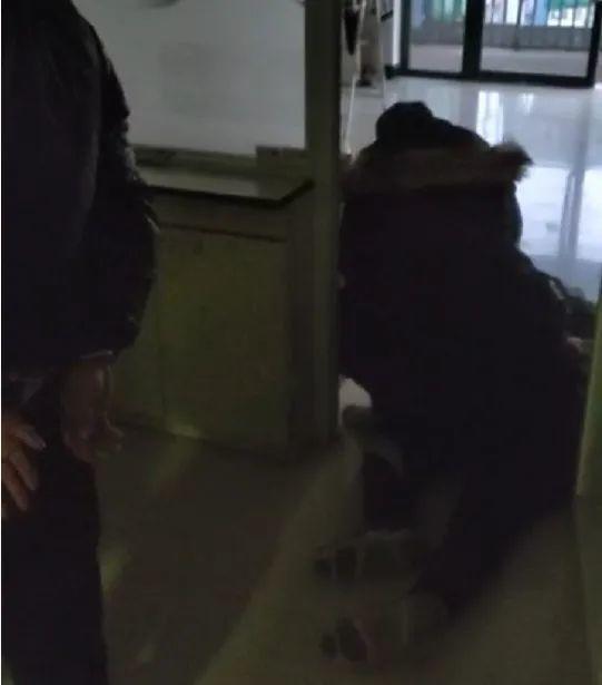 河南最新盗墓案件揭秘,探索古墓的秘密与犯罪者的行径