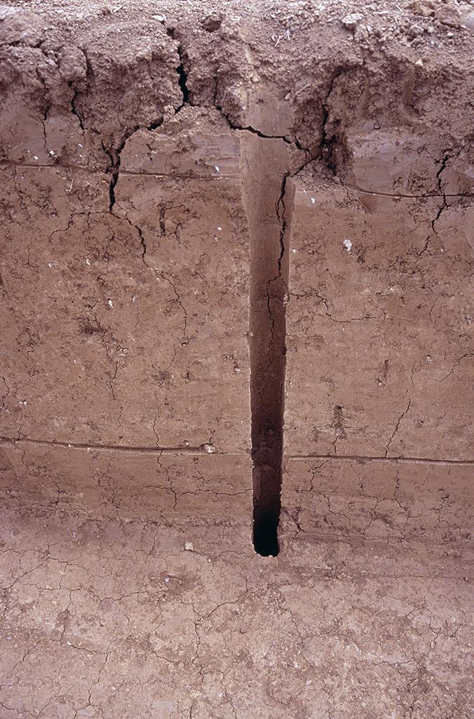 河南最新盗墓案件揭秘,探索古墓的秘密与犯罪者的行径