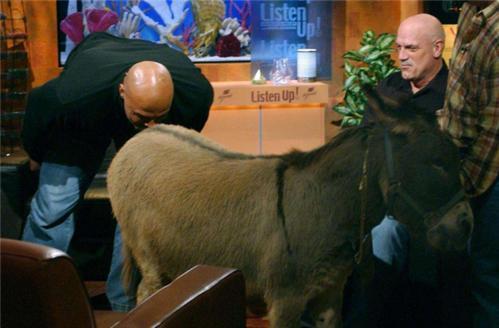 全球运动热潮的引领者,最新体育盛事回顾