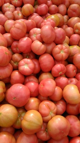 阳泉西红柿最新价格动态，变化中的学习带来自信与成就感