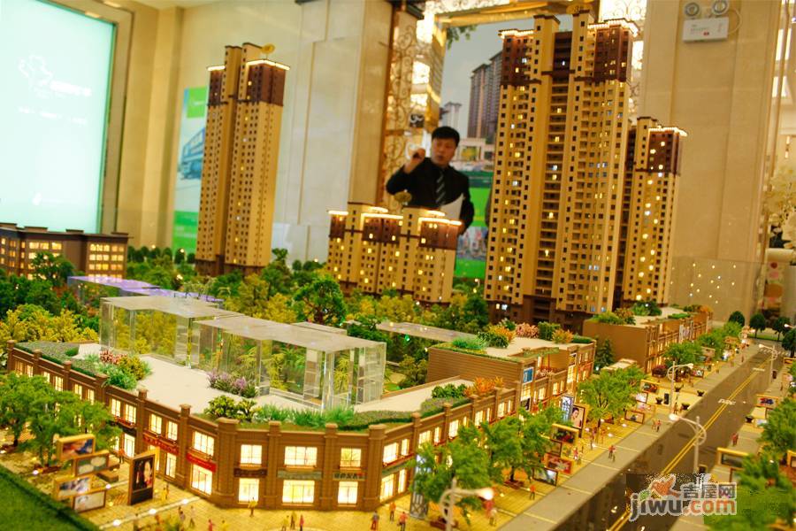 梧桐年华最新动态，友情的种子在时光里绽放