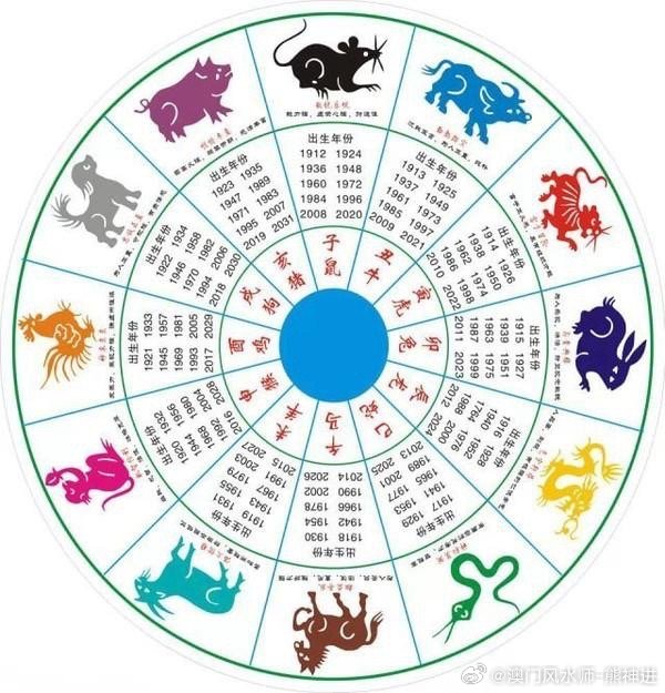 今晚澳门开三肖兔羊蛇,精细化实施分析_FKG99.460定制版