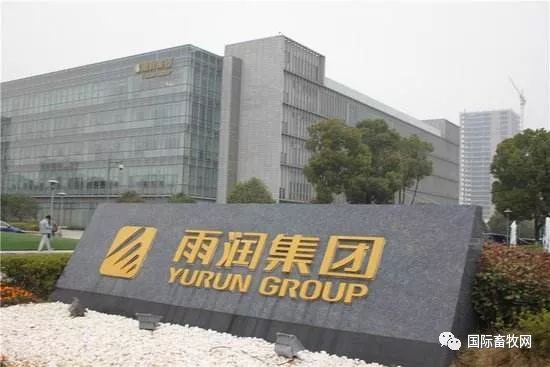 雨润集团最新动态，日常小故事中的温暖与友情滋润