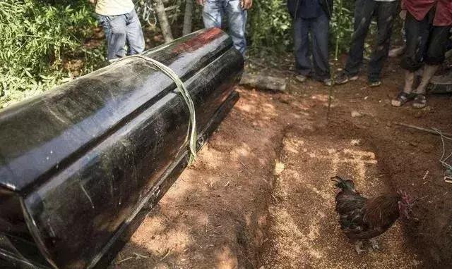 云南镇雄最新葬礼,传统与现代的完美交融纪念仪式