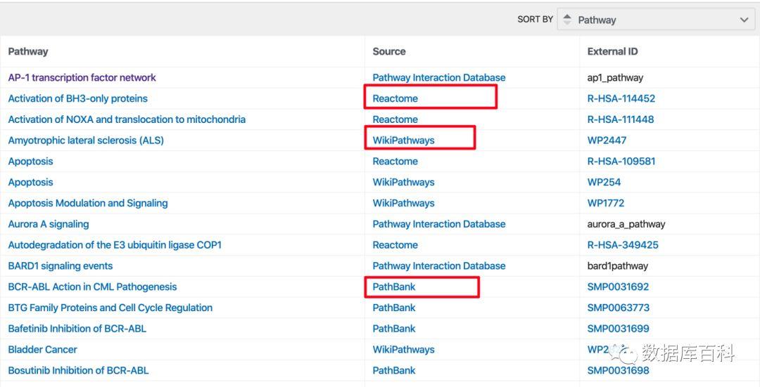 24年新奥精准全年免费资料,精准数据评估_WQK99.652明亮版