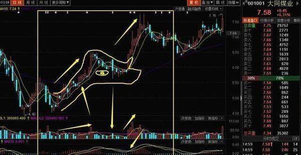 停车场服 第545页