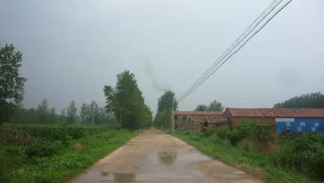 洗车服务 第538页