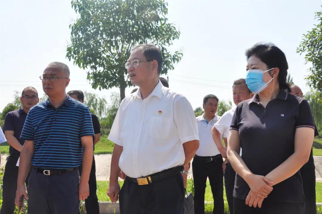 洛阳最新鱼塘信息揭秘,垂钓爱好者的乐园探寻