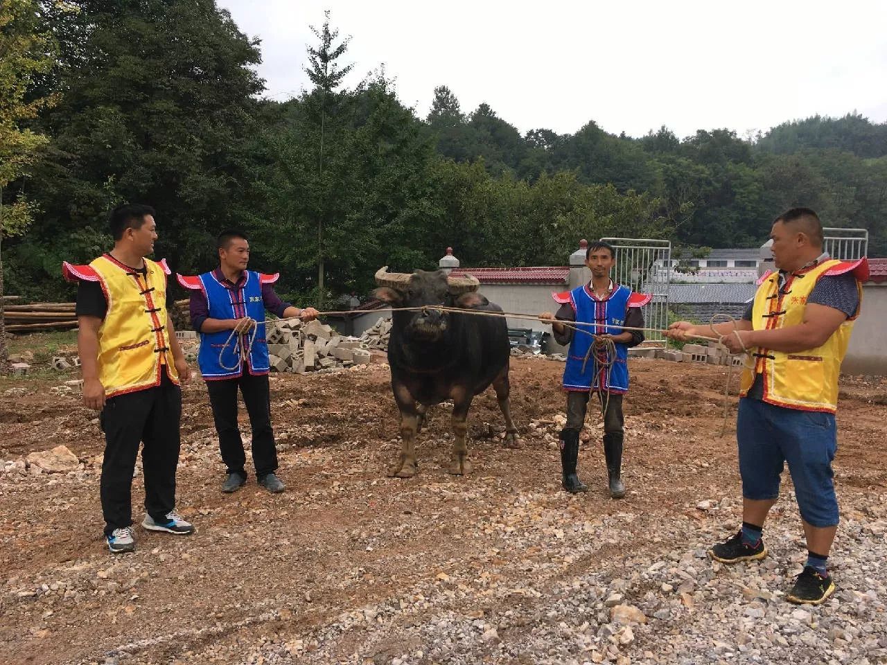 停车场服 第538页