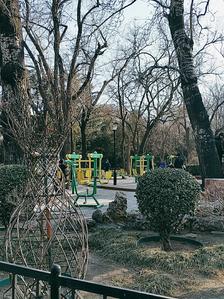 东单公园最新动态揭秘，最新进展与活动概述