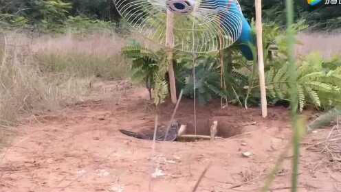 最新捕鸟神器，与自然美景的浪漫遨游之旅