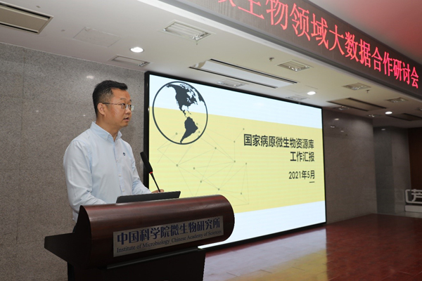 澳门最精准正最免费资料,数据科学解析说明_QDV41.491界面版