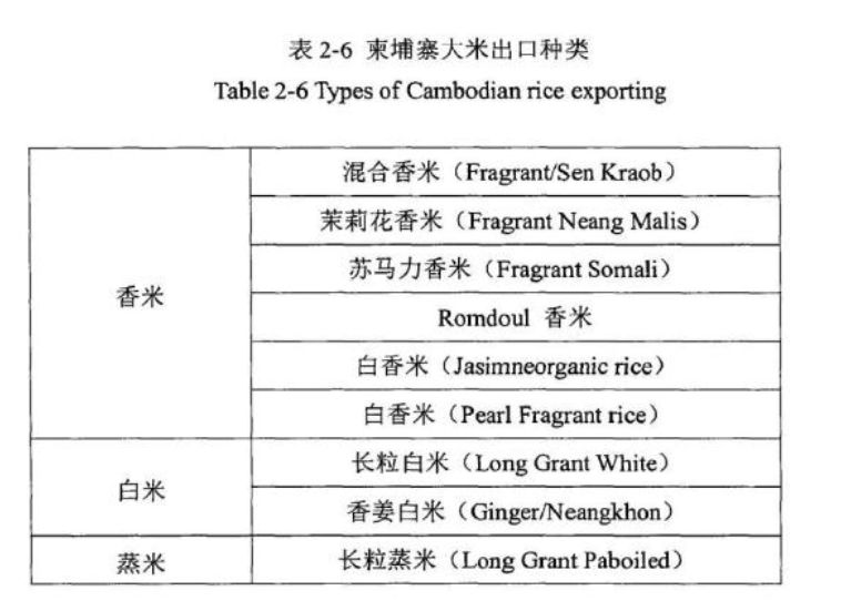 大米最新标准，深度解析与观点论述