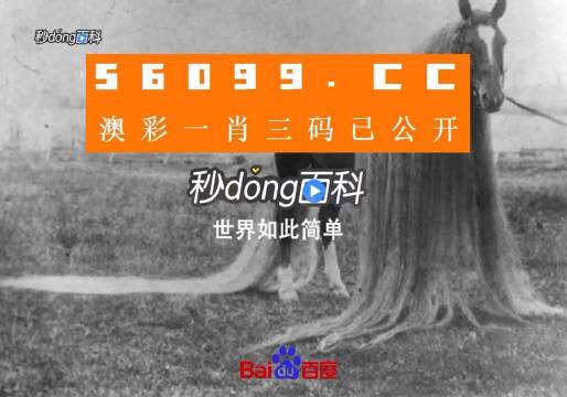 澳门今晚必中一肖一码恩爱一生,平衡执行计划实施_LCS23.471DIY版