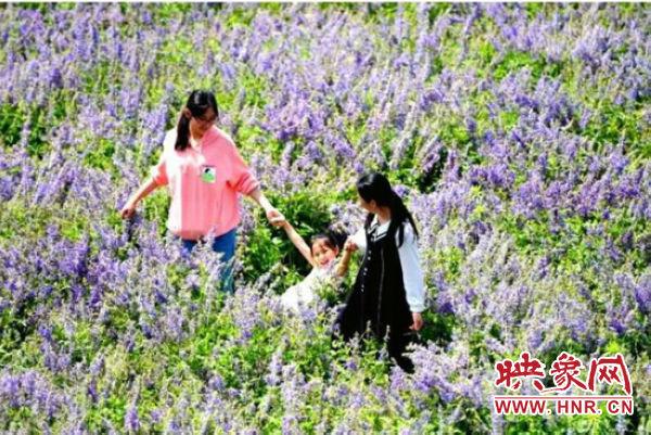 新蔡世纪神华最新动态，变化中的力量与学习带来的自信与成就感