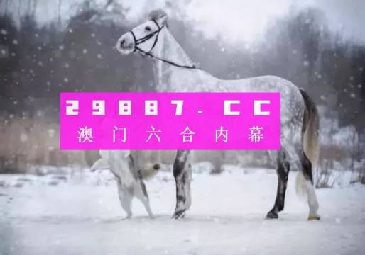 澳门正版一肖一码,统计信息解析说明_UNA23.907定义版
