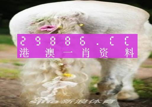 澳门精准2023一肖一码,科学分析解释说明_JTY93.737任务版