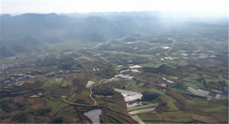 cc天天彩免费资料,专业地调查详解_TET23.842复兴版