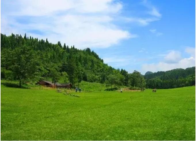 重庆矿山公园最新图片及欣赏指南，美景一览与获取途径