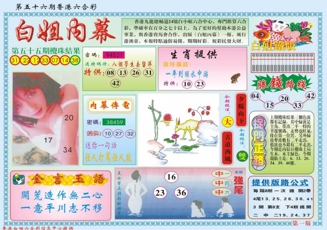 49码开码资料,新技术推动方略_NMH97.161计算机版