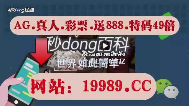 2024澳门天天六开彩免,深究数据应用策略_WZF93.838同步版
