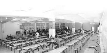 温州食堂外包最新资讯,最新外包信息解读