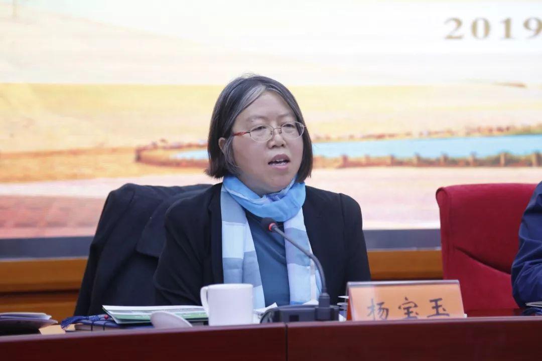 甘肃敦煌小巷深处的特色小店惊艳亮相，最新新闻与独特风味一览