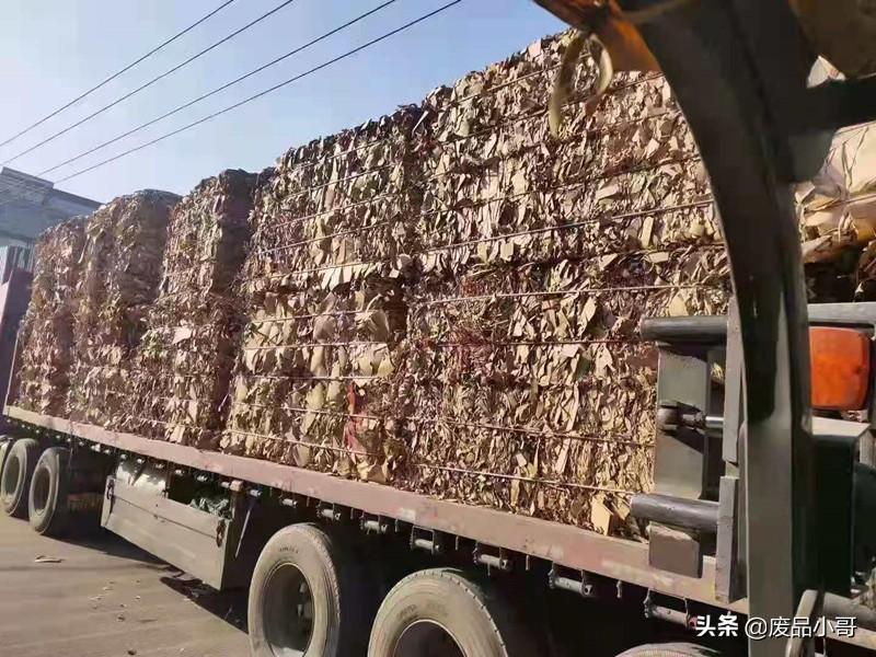 废纸最新动态,自然美景之旅的心灵探索之旅体验