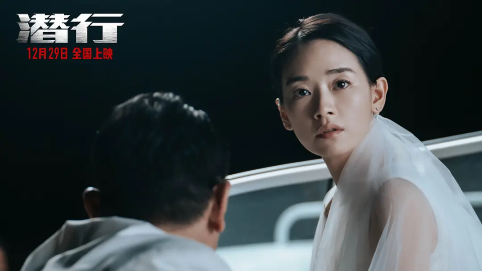 2024最新好看电影指南,从初学者到进阶用户的电影探索与欣赏之旅