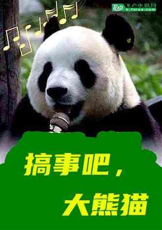 洗车服务 第452页