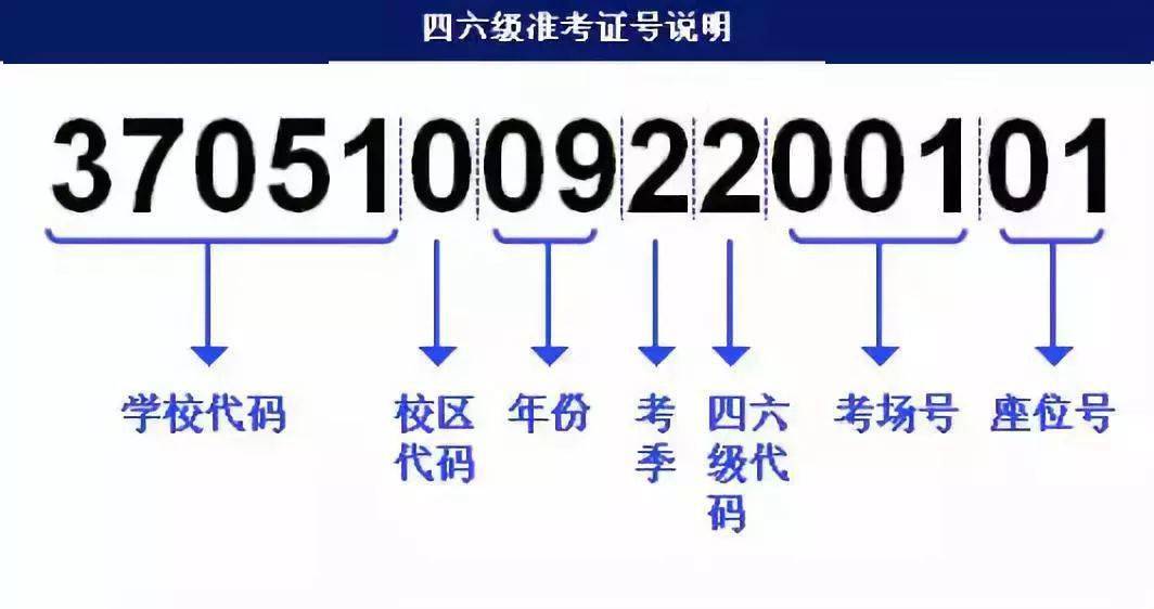 澳门三肖三淮100淮,快速解答方案设计_YBN58.442精华版