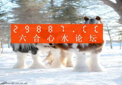 今晚必中一肖一码四不像,高效执行方案_BLP9.708幽雅版