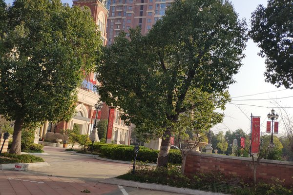 洗车服务 第428页