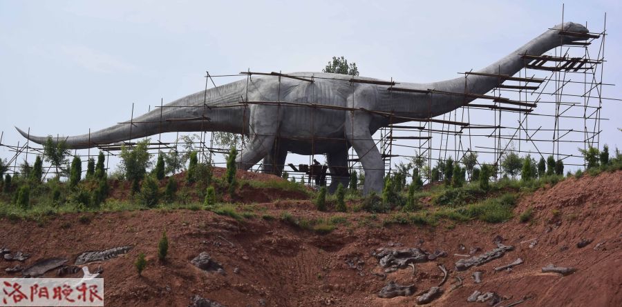 汝阳神州恐龙最新资讯，探寻恐龙世界的奥秘揭秘