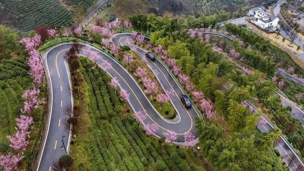 商南县最新规划,商南县最新规划步骤指南