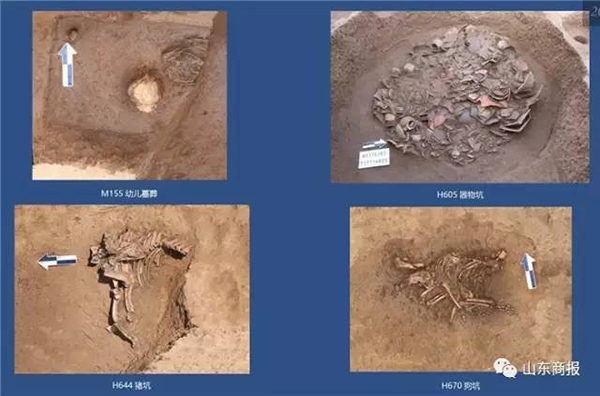 焦家遗址最新动态揭秘，自然美景探索之旅的独家体验