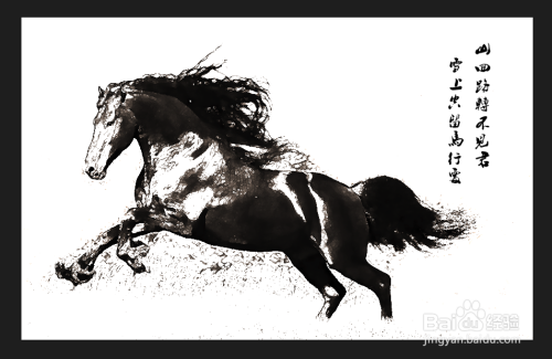 四不像特马图今晚必出,决策圈俱乐部资料_图形版63.205