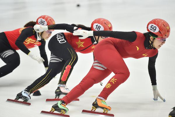 奥门正版资料免费精准,动态解读分析_SE版33.330