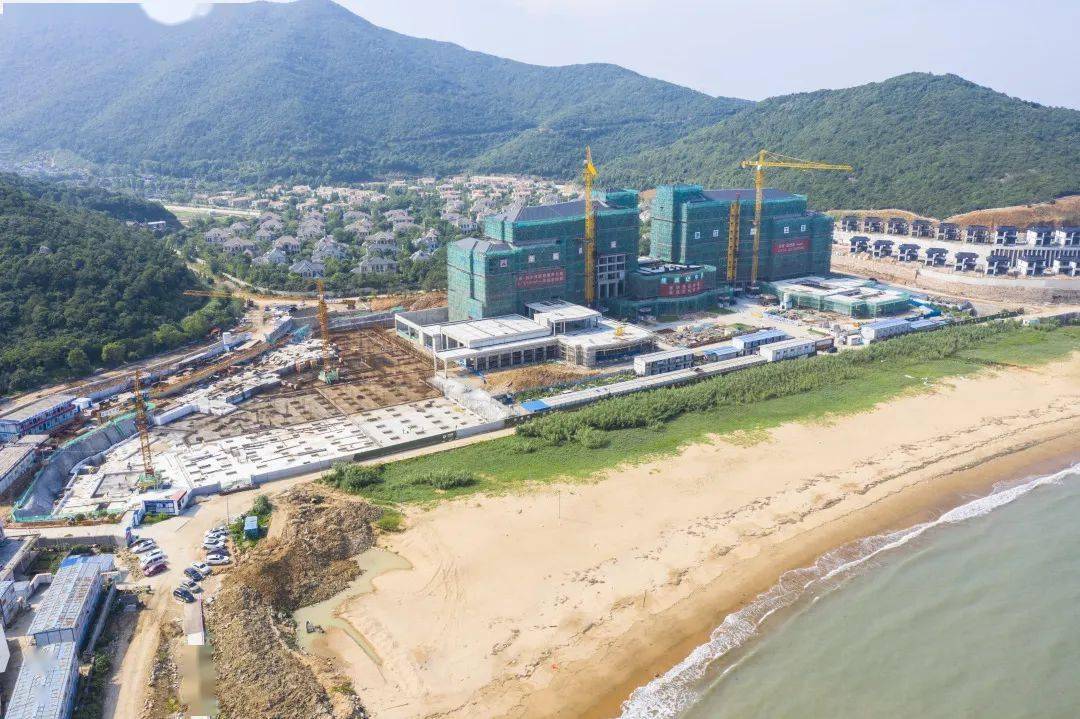 大目湾最新动态揭秘,温馨有趣的日常故事